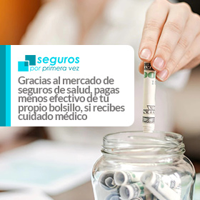 Texas Seguro Médico